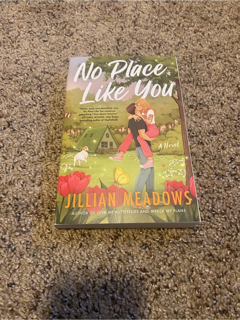 No Place Like You by Jillian Meadows - Illustrated Paperback -READ DESCRIPTION